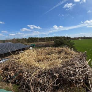 WhatsApp Image 2026-04-03 at 11.30.26(3)