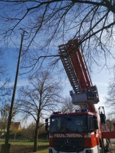 WhatsApp Image 2026-04-03 at 11.30.04