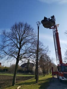 WhatsApp Image 2026-04-03 at 11.30.21(5)