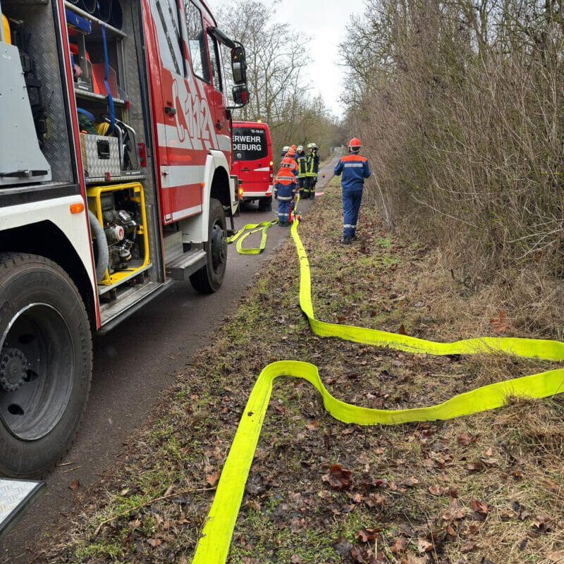 (c) Emilia Karolin Müller