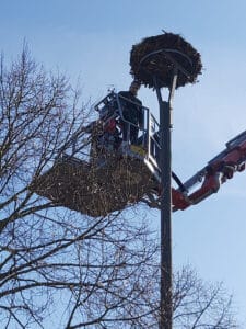 WhatsApp Image 2026-04-03 at 11.30.23