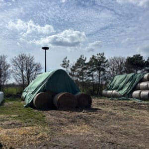 WhatsApp Image 2026-04-03 at 11.30.25