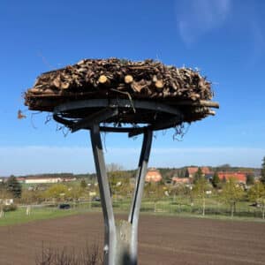 WhatsApp Image 2026-04-03 at 11.30.17