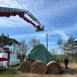 WhatsApp Image 2026-04-03 at 11.30.27(2)