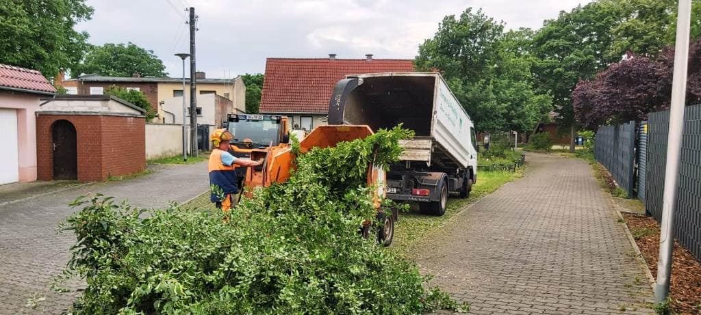 .... in kleinen Raum zu "packen".