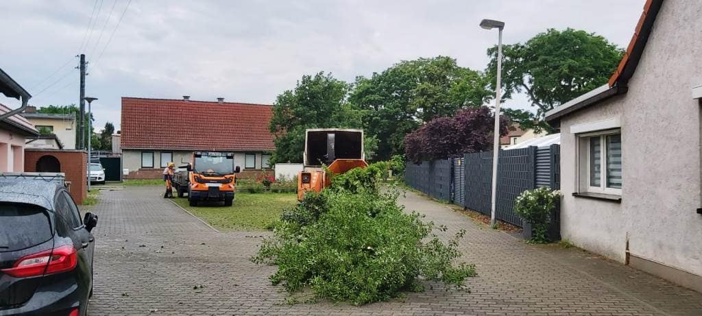 Der Industriehexler schafft es, auch dicke Äste und große Mengen ....