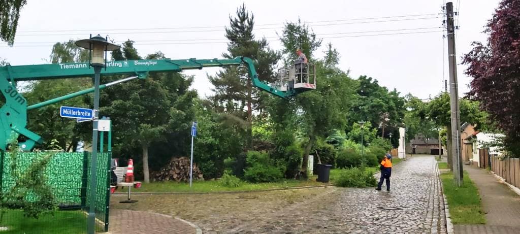 Gefährlich nah kommen die Mitarbeiter den Freileitungen.