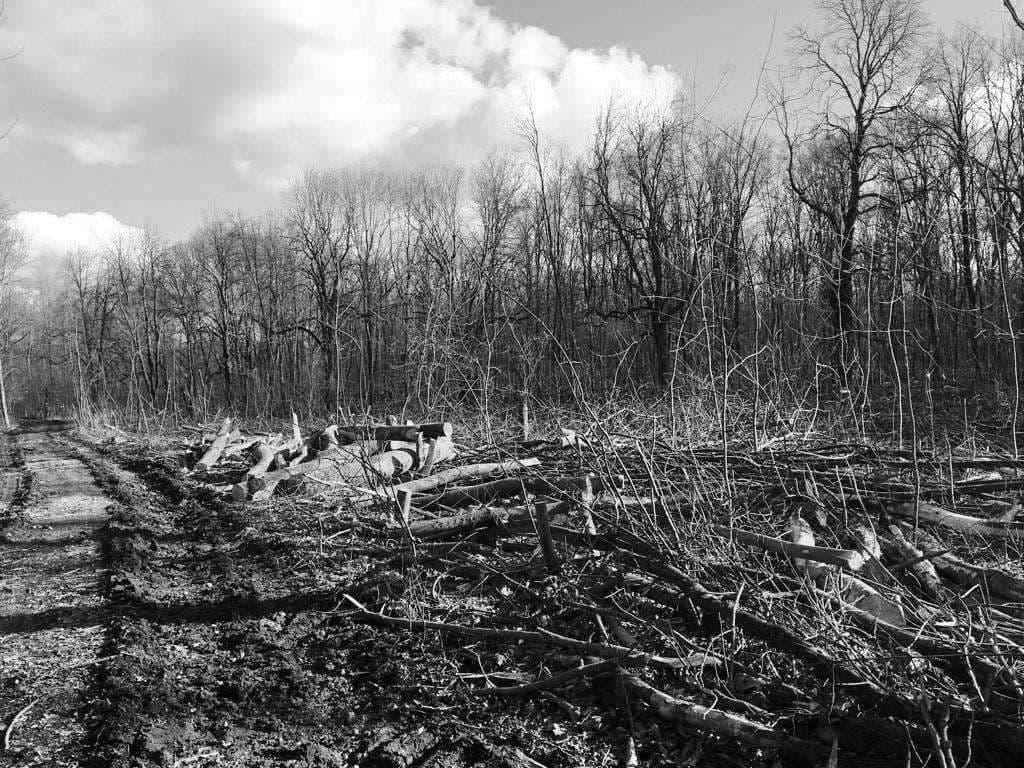 Kopie von IMG-20230319-WA0006