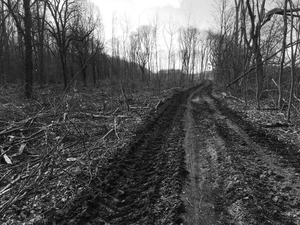 Kopie von IMG-20230319-WA0007