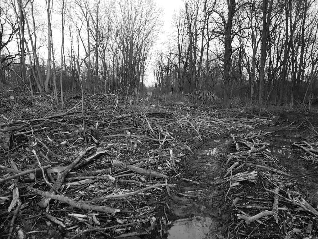 Kopie von IMG-20230319-WA0008