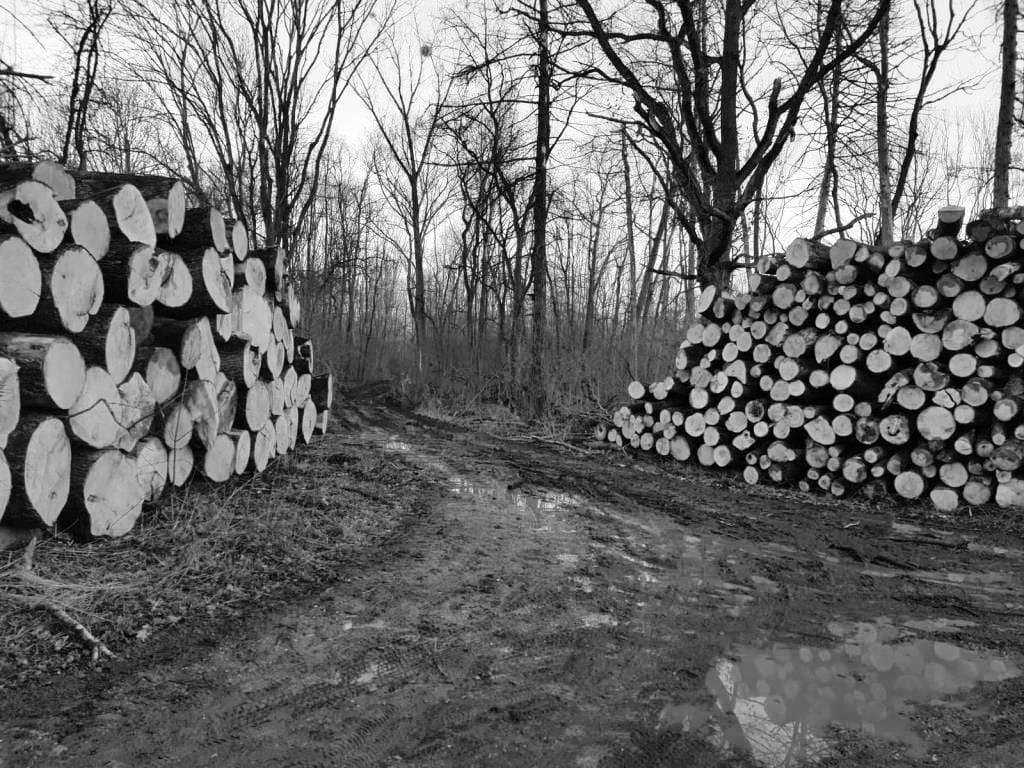 Kopie von IMG-20230319-WA0009