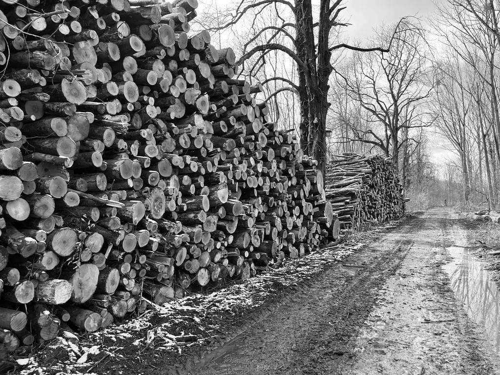 Kopie von IMG-20230319-WA0010