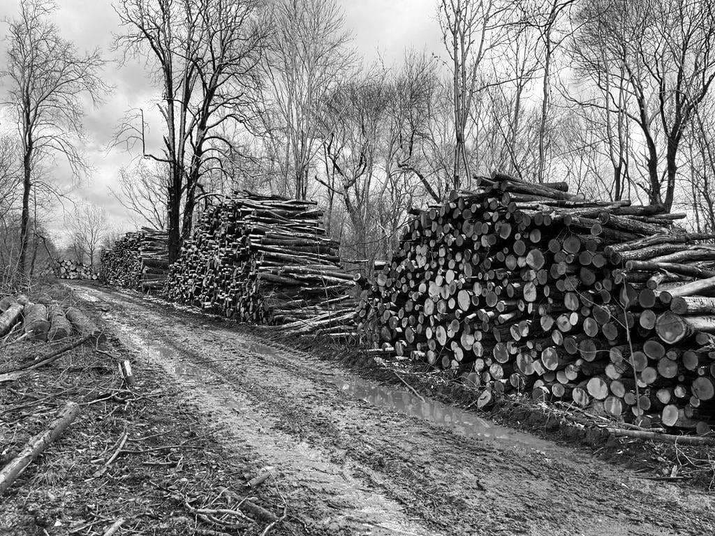 Kopie von IMG-20230319-WA0011