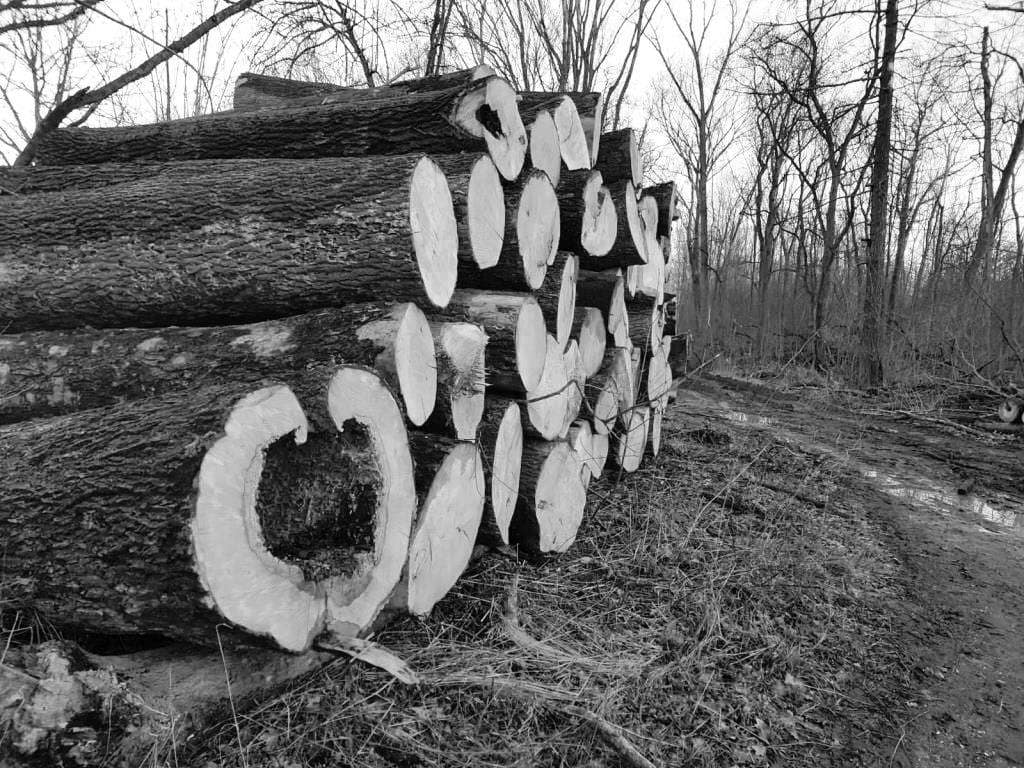 Kopie von IMG-20230319-WA0012