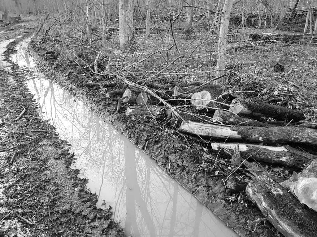 Kopie von IMG-20230319-WA0013