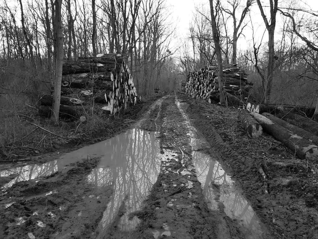 Kopie von IMG-20230319-WA0014