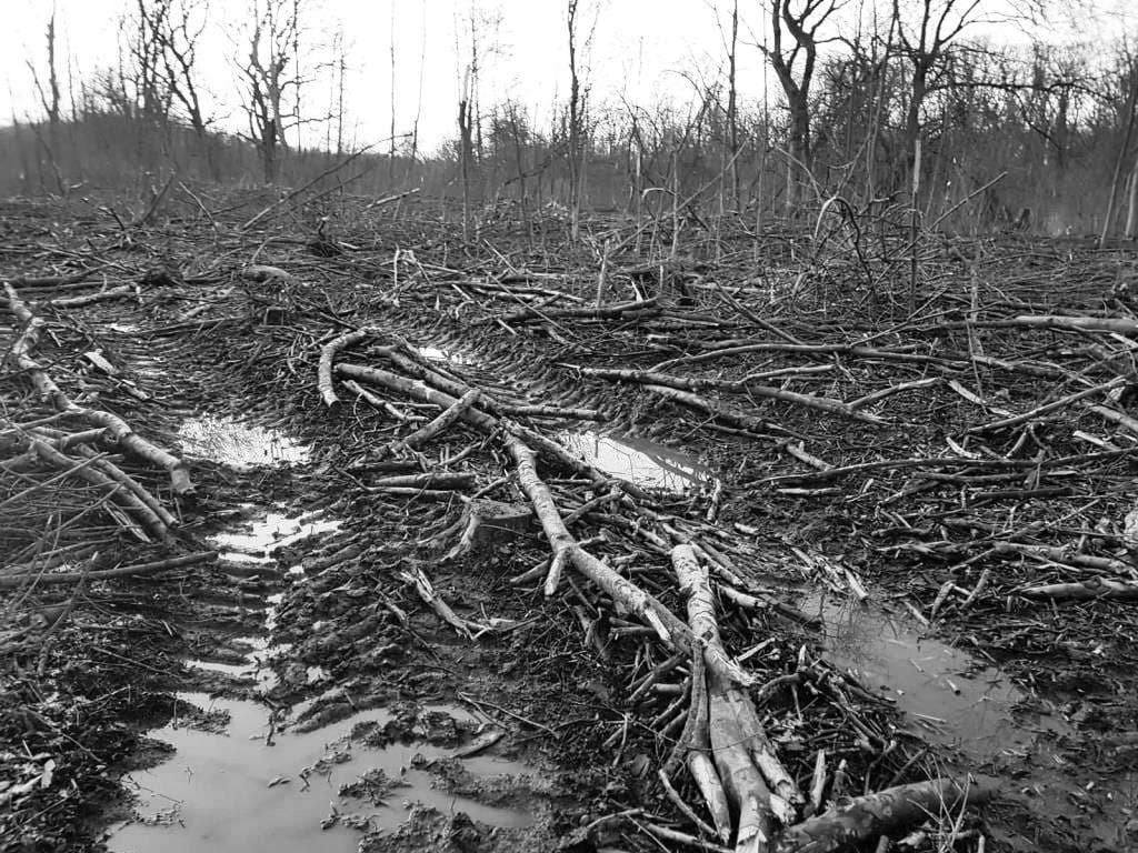 Kopie von IMG-20230319-WA0015