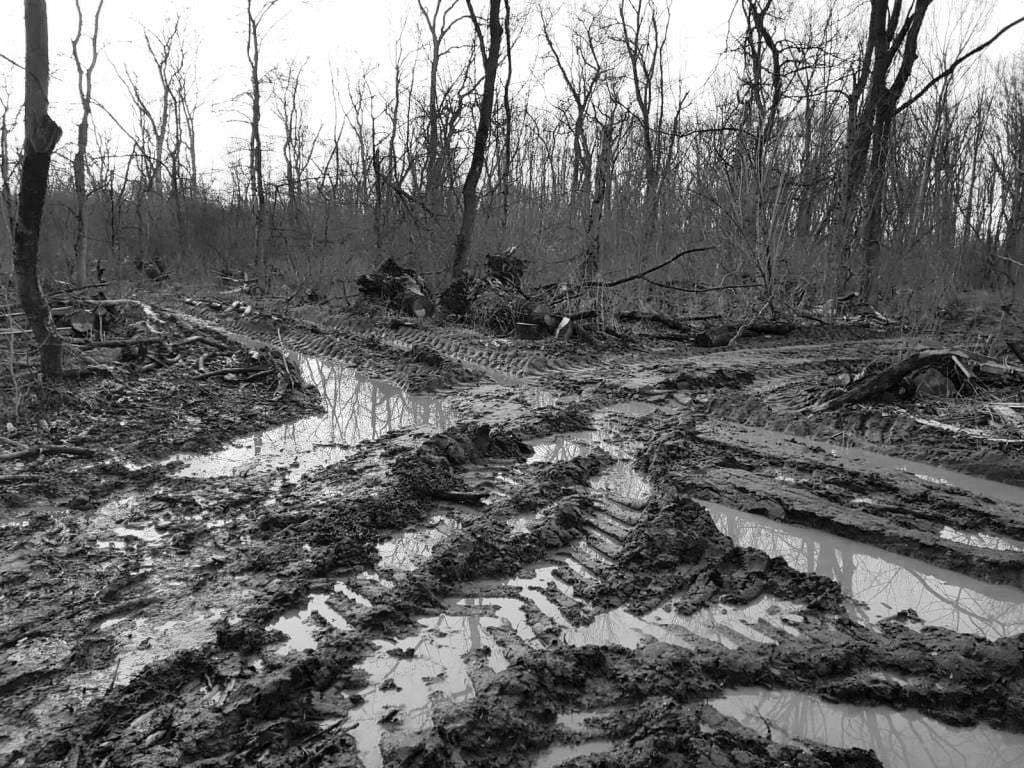 Kopie von IMG-20230319-WA0016