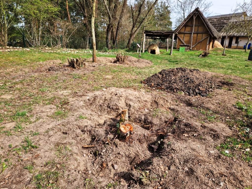 Das Brombeerdickicht ist weg (c) Susann Arndt