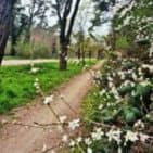 WhatsApp Image 2025-04-09 at 19.17.31