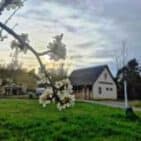 WhatsApp Image 2025-04-09 at 19.17.31(1)