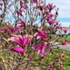 WhatsApp Image 2025-04-09 at 19.17.32(1)