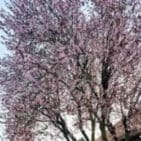 WhatsApp Image 2025-04-09 at 19.17.32(2)