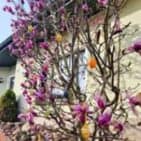 WhatsApp Image 2025-04-09 at 19.17.33