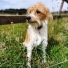 WhatsApp Image 2025-04-10 at 20.20.17