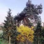 WhatsApp Image 2025-04-11 at 13.03.05(1)