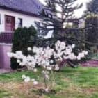 WhatsApp Image 2025-04-11 at 13.03.06(1)