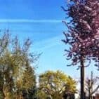 WhatsApp Image 2025-04-11 at 13.03.08