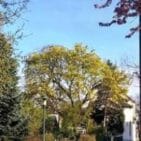 WhatsApp Image 2025-04-11 at 13.03.08(1)