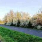 WhatsApp Image 2025-04-12 at 19.35.30 (2)