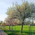 WhatsApp Image 2025-04-12 at 19.35.31 (2)