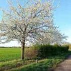 WhatsApp Image 2025-04-12 at 19.35.32