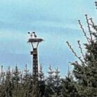 WhatsApp Image 2025-04-13 at 13.08.28