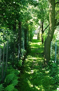 Nachtwächterweg