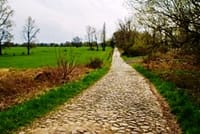 Neues Bild (10)
