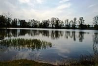 Neues Bild (12)