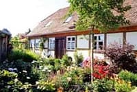 Neues Bild (2)