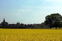 Neues Bild (24)