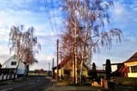 Neues Bild (32)