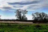Neues Bild (39a)