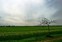 Neues Bild (42)