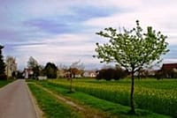 Neues Bild (43)