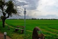 Neues Bild (50)