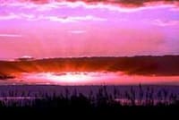 Neues Bild (54)