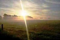 Neues Bild (55)
