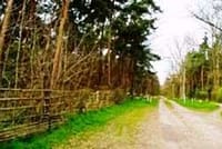 Neues Bild (57)